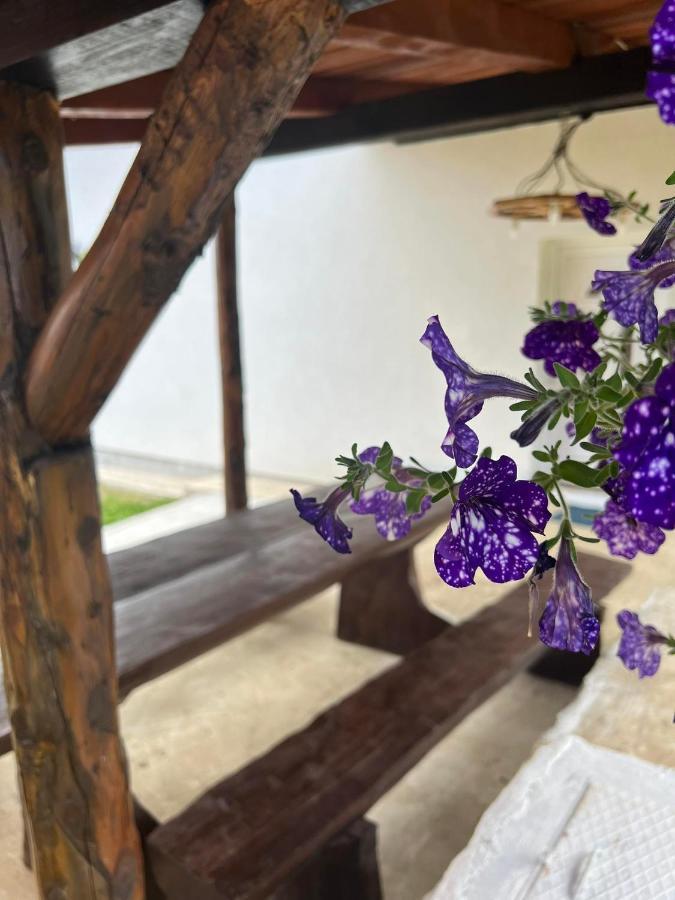 Apartman Djak Plitvička Jezera Exteriör bild